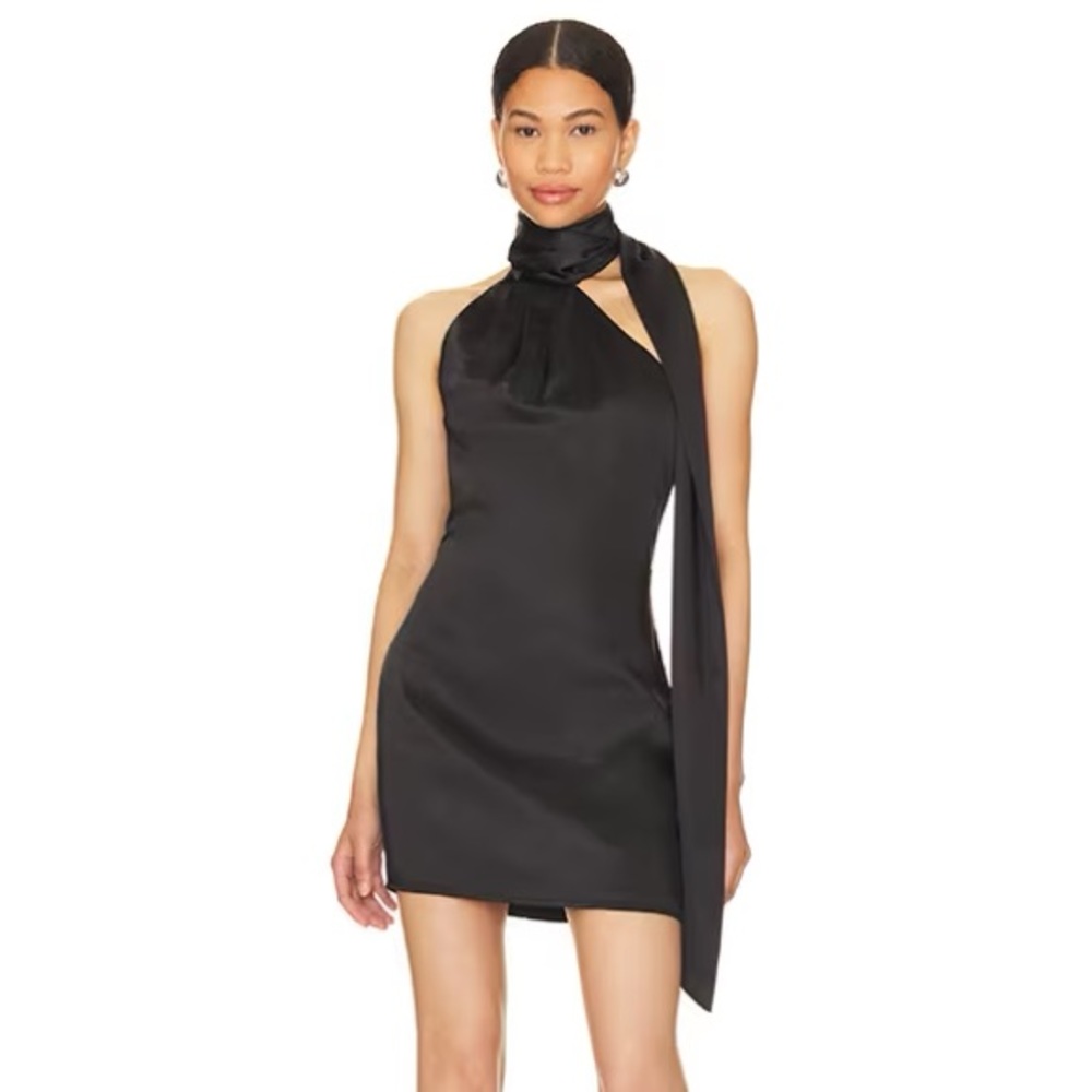 Revolve dress